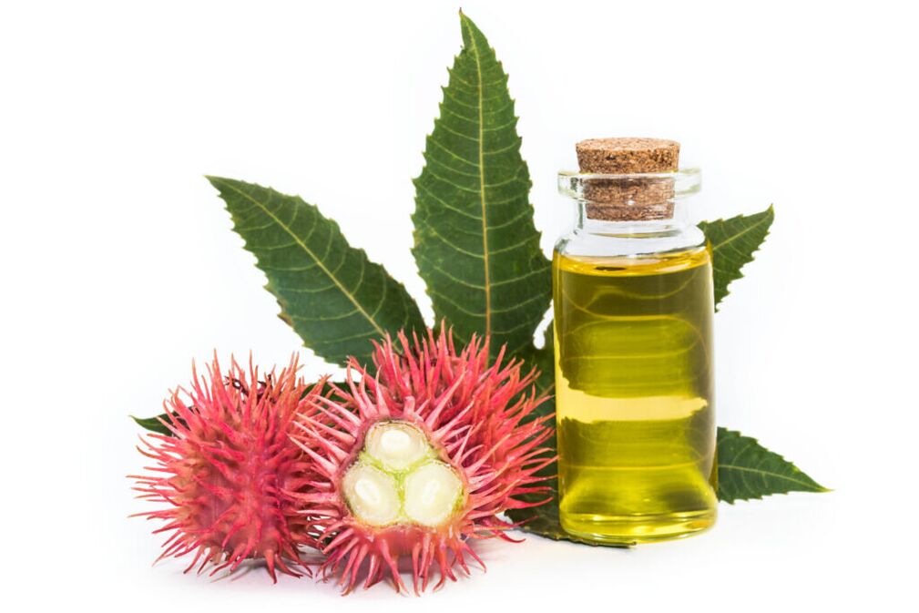 castor oil - composition of the cream Proctonic